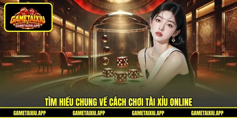 Tìm hiểu chung về cách chơi tài xỉu online