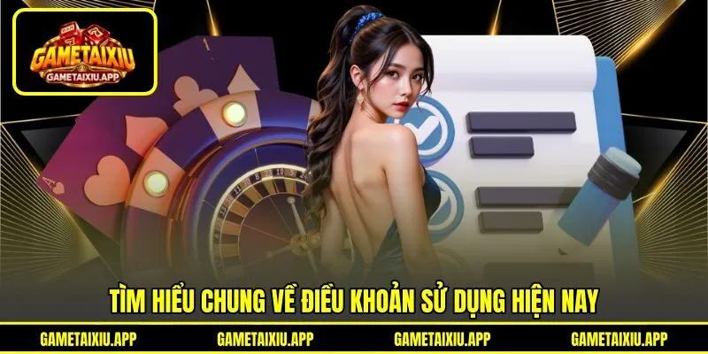 Tìm hiểu chung về điều khoản sử dụng hiện nay